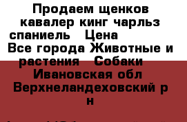 Продаем щенков кавалер кинг чарльз спаниель › Цена ­ 60 000 - Все города Животные и растения » Собаки   . Ивановская обл.,Верхнеландеховский р-н